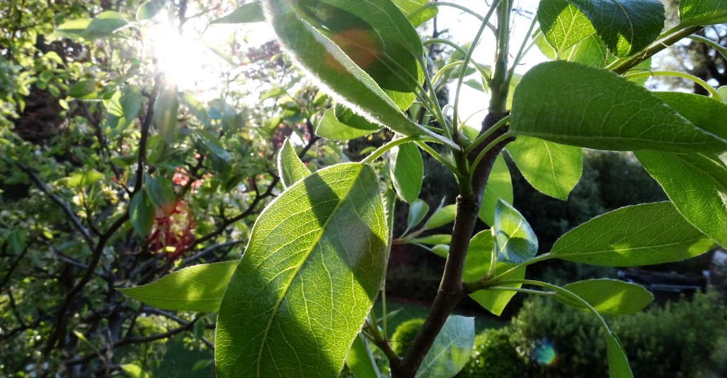 It will all be&nbsp;taken